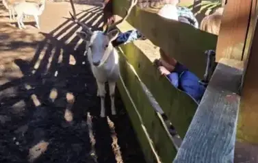 Wycieczka do Parku Korzonek 1
