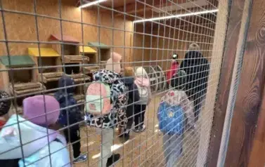 Wycieczka do Parku Korzonek 9
