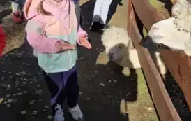 Wycieczka do Parku Korzonek 3