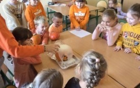 Galeria aktualności Dzień Dyni 14